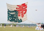 相模の大凧まつり